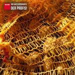 Raschelsäcke goldgelb mit Zugband Größe 25 kg (50 x 80 cm) 10 Stück – Bild 3