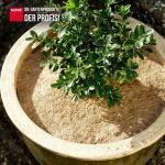 Kokosscheibe Kokos Scheibe Winterschutz Durchmesser 37 cm – Bild 3
