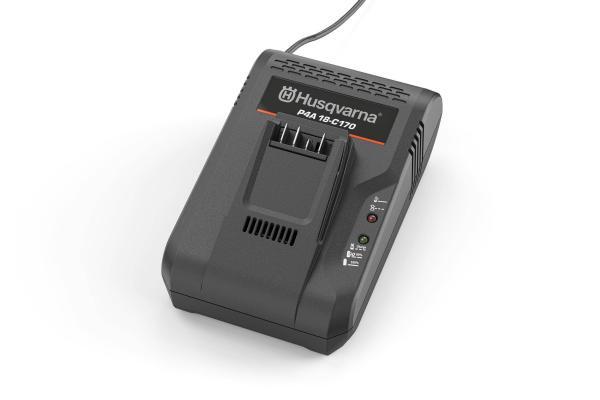 Aspire® Ladegerät P4A 18-C170 8A